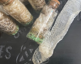 Snake Shed-Witchcraft Supplies-Hoodoo Supplies-Witchy Curiosities-Snake Shed in a Bottle-Spell Supplies