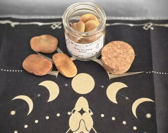 Wishing Beans-Mojo Beans-Mojo Wishing Beans-Hoodoo Supplies-Witchcraft