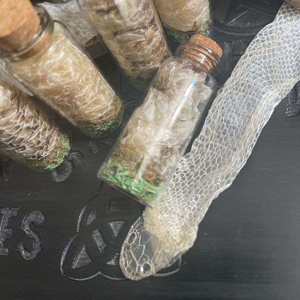 Snake Shed-Witchcraft Supplies-Hoodoo Supplies-Witchy Curiosities-Snake Shed in a Bottle-Spell Supplies