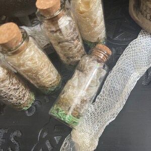 K&ouml;nnte beinhalten: Vier kleine Glasflaschen mit Korkstopfen, gef&uuml;llt mit wei&szlig;en Schlangenh&auml;uten. Die Flaschen stehen auf einer schwarzen Oberfl&auml;che, neben ihnen liegt eine wei&szlig;e Schlangenhaut.