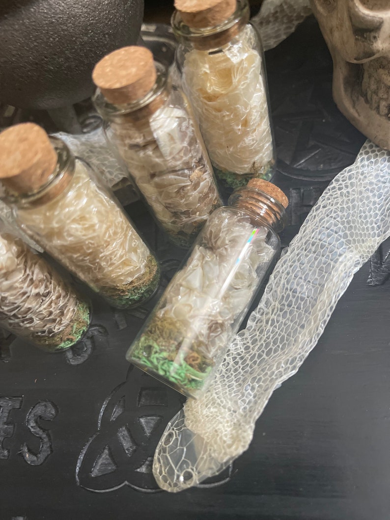 K&ouml;nnte beinhalten: Vier kleine Glasflaschen mit Korkstopfen, gef&uuml;llt mit wei&szlig;en Schlangenh&auml;uten. Die Flaschen stehen auf einer schwarzen Oberfl&auml;che, neben ihnen liegt eine wei&szlig;e Schlangenhaut.