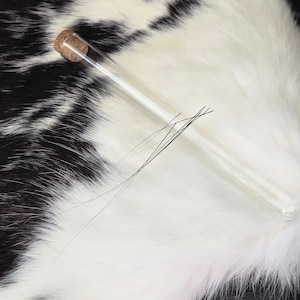 黒猫のひげ - 魔術/フードゥー用品 - 呪文用品 - 魔女の珍品