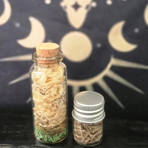 K&ouml;nnte beinhalten: Zwei kleine Glasflaschen mit Kork- und Metalldeckeln, gef&uuml;llt mit getrockneten Kr&auml;utern und Blumen. Die Flaschen stehen auf einer dunklen Holzoberfl&auml;che.
