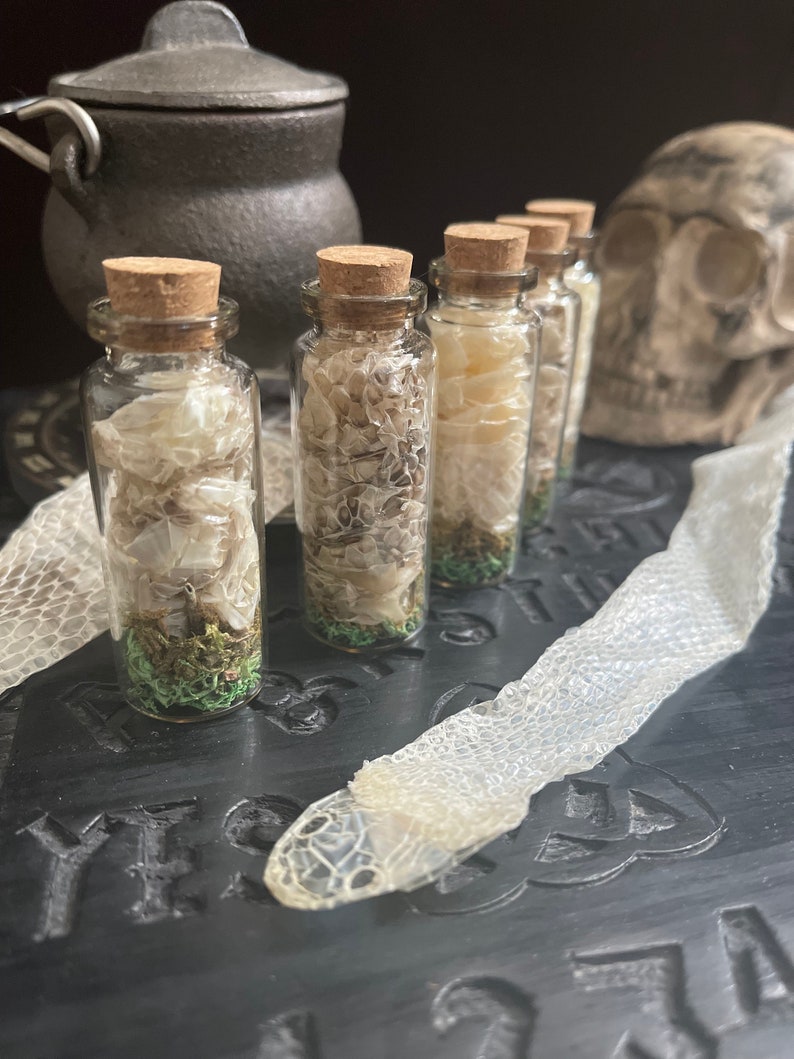 K&ouml;nnte beinhalten: F&uuml;nf kleine Glasflaschen mit Korkstopfen, gef&uuml;llt mit getrockneter Schlangenhaut und gr&uuml;nem Moos. Die Flaschen sind in einer Reihe auf einer schwarzen Oberfl&auml;che angeordnet, im Hintergrund eine Schlangenhaut und ein Sch&auml;del.