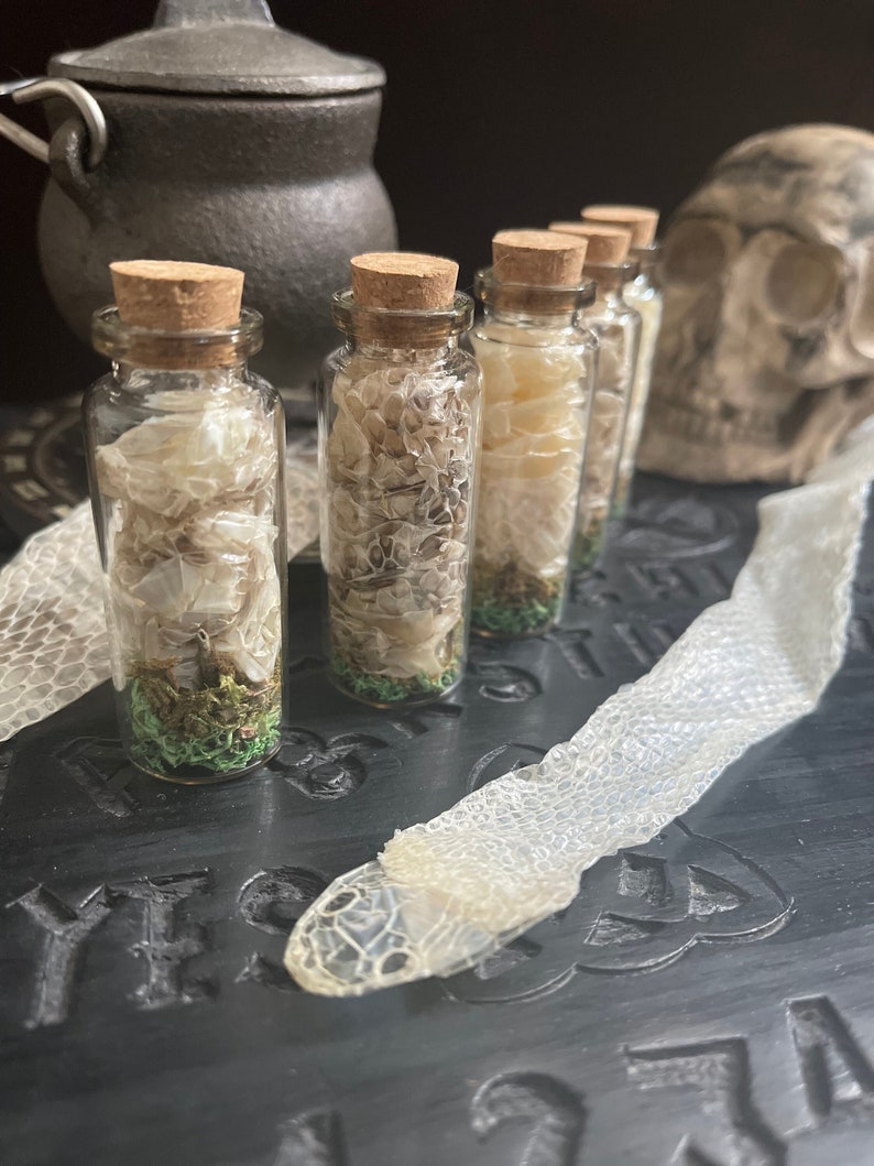 K&ouml;nnte beinhalten: F&uuml;nf kleine Glasflaschen mit Korkstopfen, gef&uuml;llt mit getrockneten Schlangenh&auml;uten und gr&uuml;nem Moos. Die Flaschen sind in einer Reihe auf einer dunklen Holzoberfl&auml;che angeordnet, im Hintergrund eine Schlangenhaut und ein Sch&auml;del.