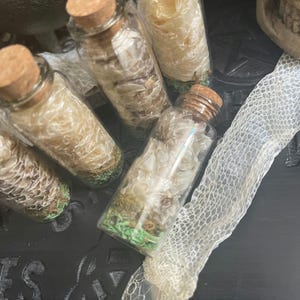 Abri pour serpents - Fournitures pour sorcellerie - Fournitures pour hoodoo - Curiosités de sorcellerie - Abri pour serpents dans une bouteille - Fournitures pour épeler