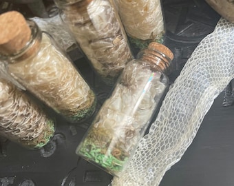 Snake Shed-Witchcraft Supplies-Hoodoo Supplies-Witchy Curiosities-Snake Shed in a Bottle-Spell Supplies