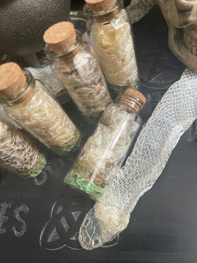K&ouml;nnte beinhalten: F&uuml;nf kleine Glasflaschen mit Korkverschl&uuml;ssen, gef&uuml;llt mit wei&szlig;en Schlangenh&auml;uten. Die Flaschen sind in einer Reihe auf einer schwarzen Oberfl&auml;che angeordnet. Ein St&uuml;ck Schlangenhaut liegt auf der Oberfl&auml;che.