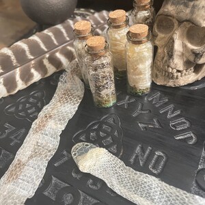K&ouml;nnte beinhalten: F&uuml;nf kleine Glasflaschen mit Korkstopfen, gef&uuml;llt mit getrockneter Schlangenhaut und gr&uuml;nen Kr&auml;utern. Die Flaschen sind in einer Reihe auf einer schwarzen Oberfl&auml;che mit einem Sch&auml;del und einer Feder angeordnet.