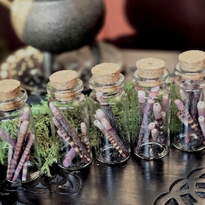 Op de afbeelding: Vijf kleine glazen potten met kurken deksels gevuld met paarse en witte schelpen. De potten zijn in een rij op een donker houten oppervlak gerangschikt.