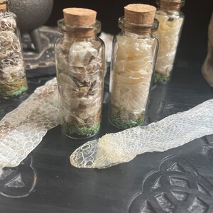 K&ouml;nnte beinhalten: Drei kleine Glasflaschen mit Korkstopfen, gef&uuml;llt mit getrockneten Schlangenh&auml;uten und gr&uuml;nem Moos. Die Flaschen stehen auf einer dunklen Holzoberfl&auml;che, neben ihnen liegt eine Schlangenhaut.