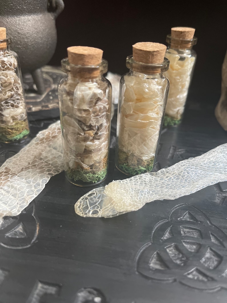 K&ouml;nnte beinhalten: Drei kleine Glasflaschen mit Korkstopfen, gef&uuml;llt mit getrockneten Schlangenh&auml;uten und gr&uuml;nem Moos. Die Flaschen stehen auf einer dunklen Holzoberfl&auml;che, neben ihnen liegt eine Schlangenhaut.
