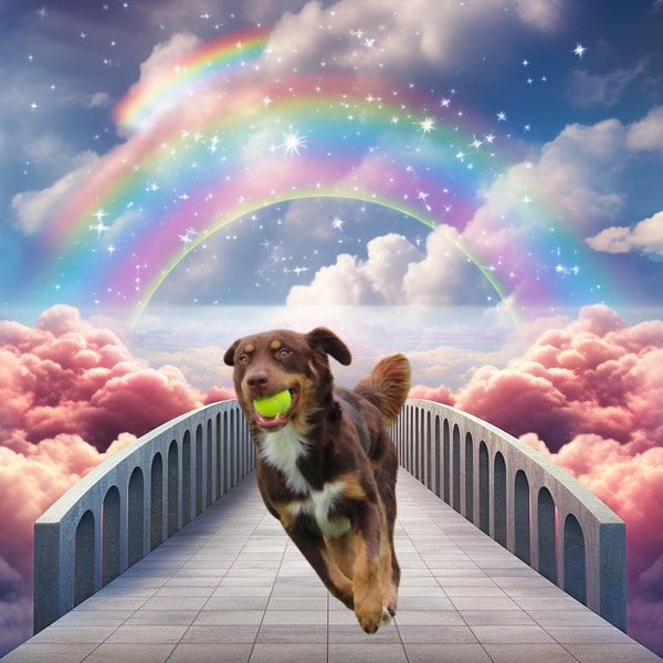 Rainbow Bridge Pet Memorial Digital Download, Pet Memorial of Heaven, Pet Memorial Backdrop, Personalized Pet Memorial, Instant Download