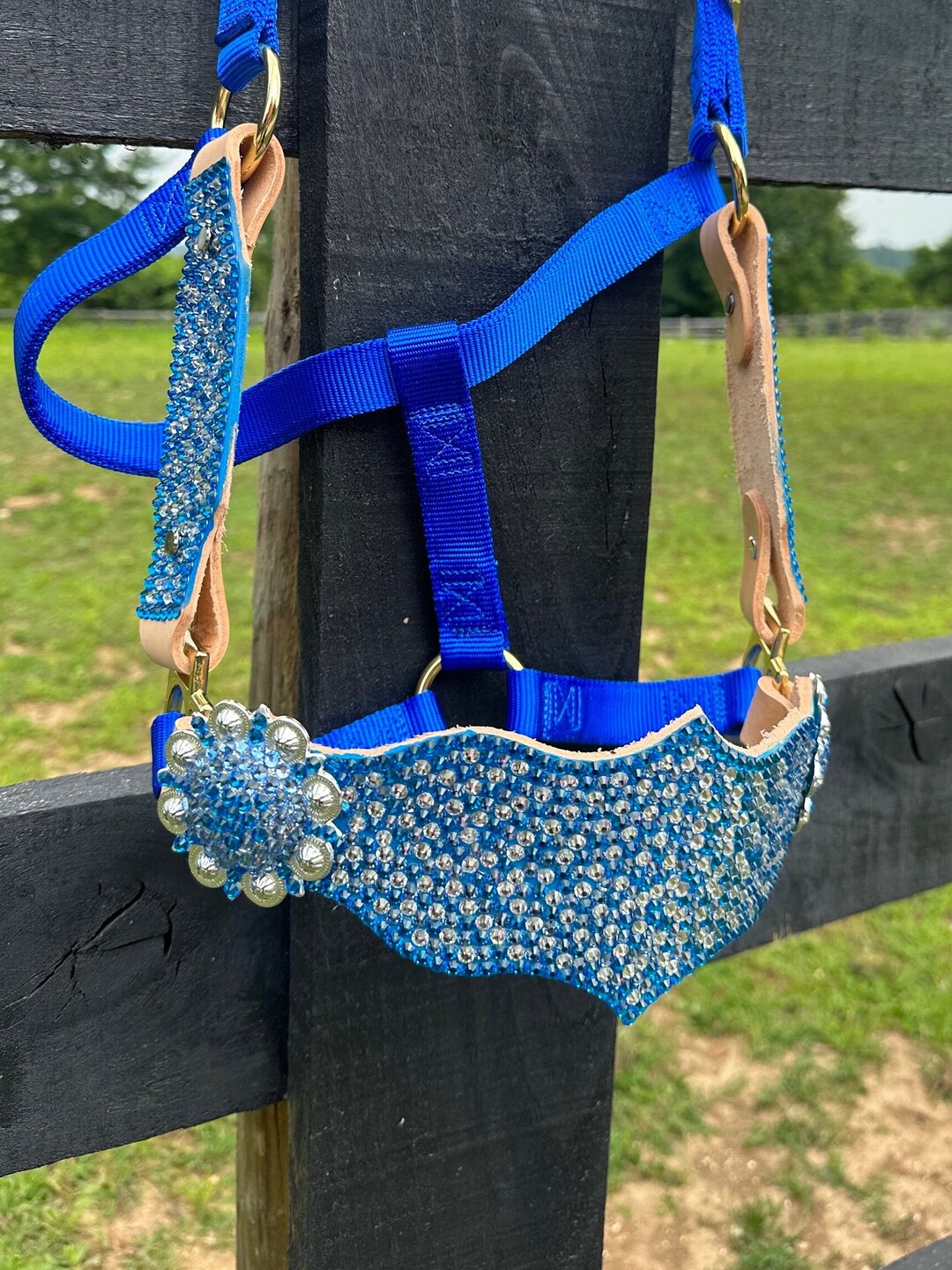 Blue Horse Halter Horse Halter Bling Halter Custom Horse Etsy