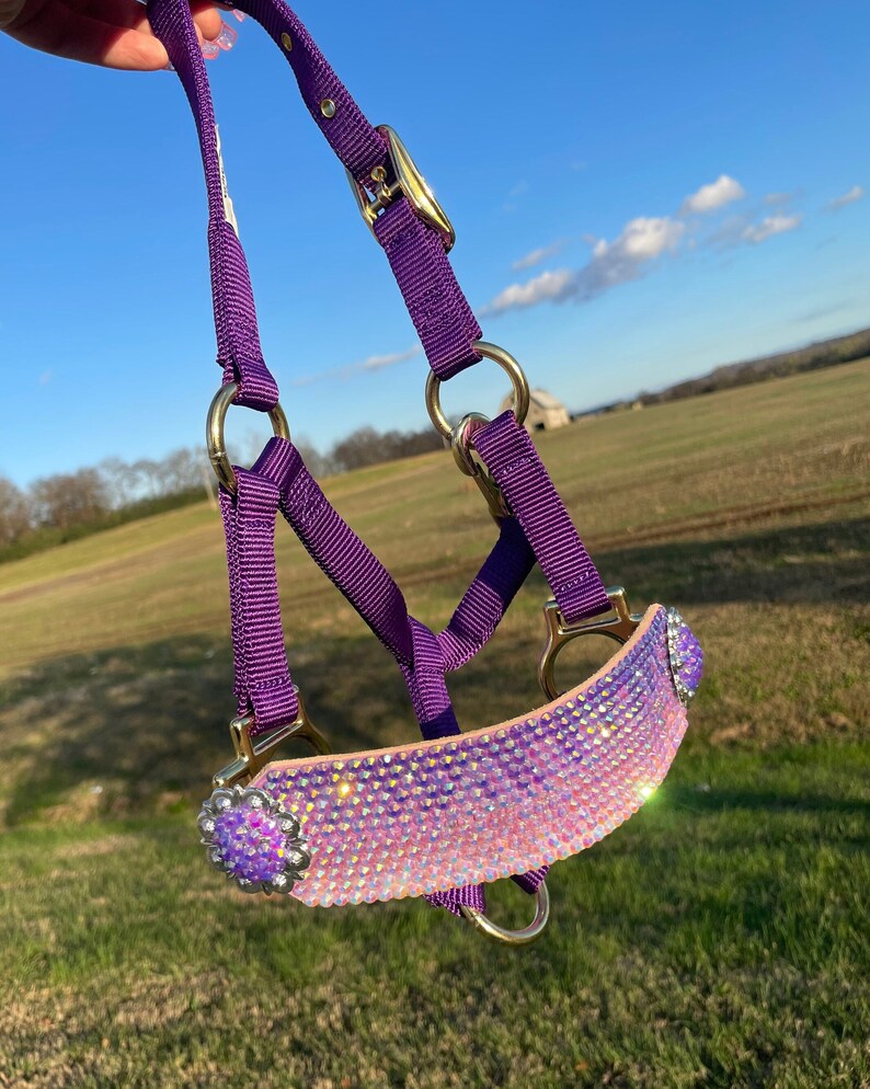 Purple Ombré Mini Horse Halter Custom Mini Horse Halter Etsy