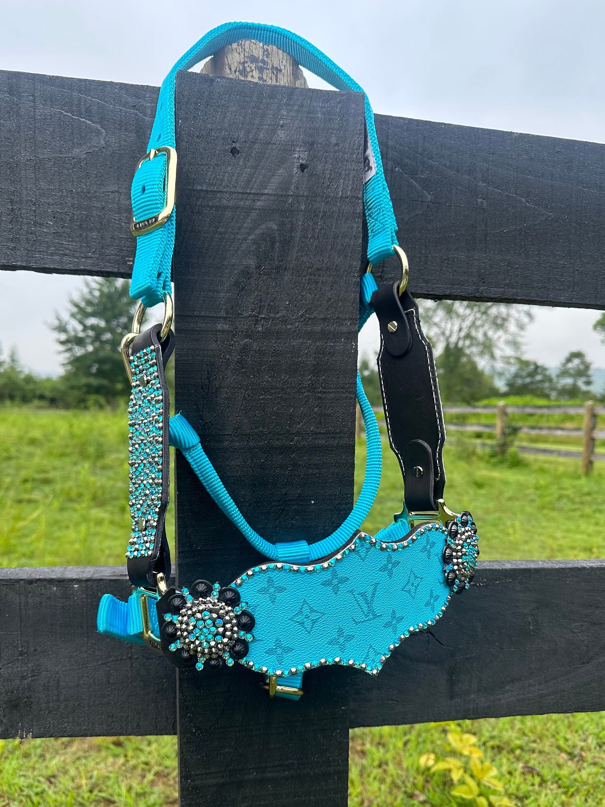 Designer and Blue Rhinestone Horse Halter Designer Halter 