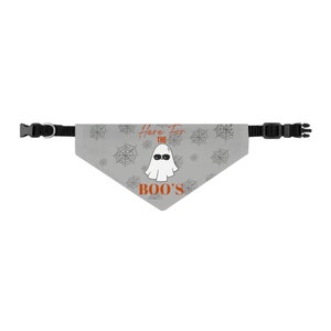 Hier für die Boos! Haustier Halsband