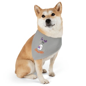 Halloween Haustier Hundehalsband