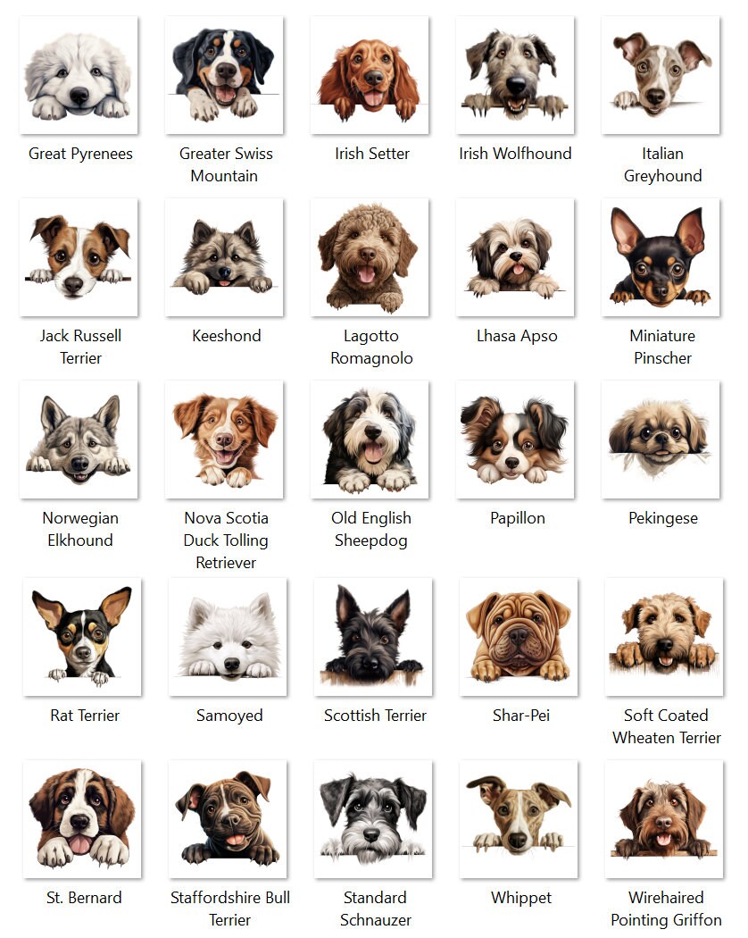 Custom Dog Food Mat, Pet Food Mat, Dog Front Door Mat, Door Mat, Custom