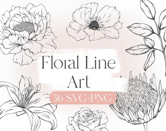 Floral Line Art SVG: Botanical Flower Outline Clipart (36 PNG & SVG)