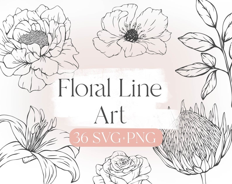 May include: A set of 36 black and white line art floral illustrations. The illustrations include a peony, a rose, a lily, a protea, and a simple leaf design. The text "Floral Line Art 36 SVG, PNG" is included in the image.