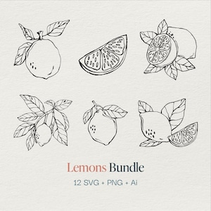 Lemon SVG Png AI Bundle - Fresh Citrus Designs for Logos, Invitations & DIY Projects
