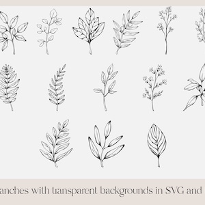 May include: A set of 14 black and white line drawings of various branches and leaves. The drawings are simple and elegant, and would be perfect for use in a variety of creative projects.