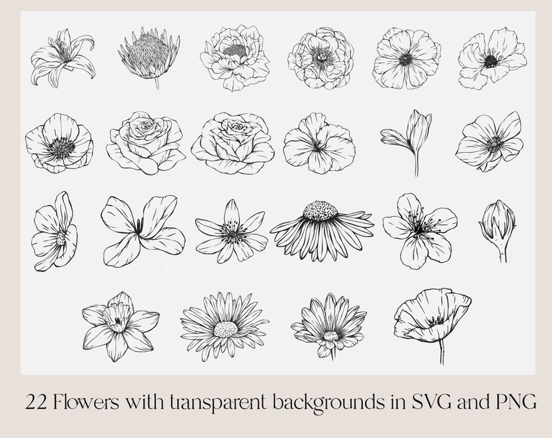 May include: A collection of 22 black and white line drawings of various flowers, including lilies, roses, daisies, and poppies. The flowers are isolated on a white background.