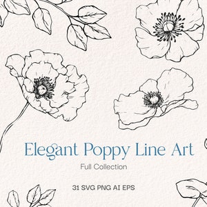 Art clipart au trait coquelicot – 31 motifs de fleurs sauvages au format png, Svg, Ai, EPS | Vecteurs de pavot botaniques pour le jour du Souvenir