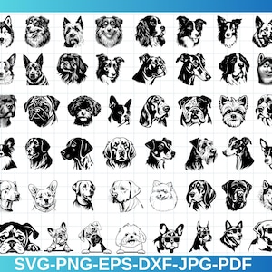 Dog Heads SVG,PNG Bundle | Complete Dog Breeds Svg, PNG | Dog Heads for Cricut Svg|Dog Silhouette Svg,Dog Heads Clipart| Instant Download