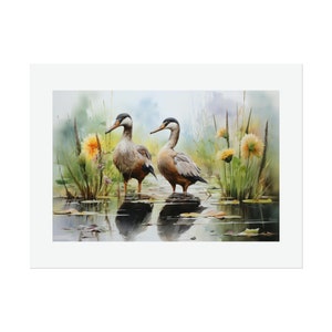 Water Birds #1 Watercolor Print