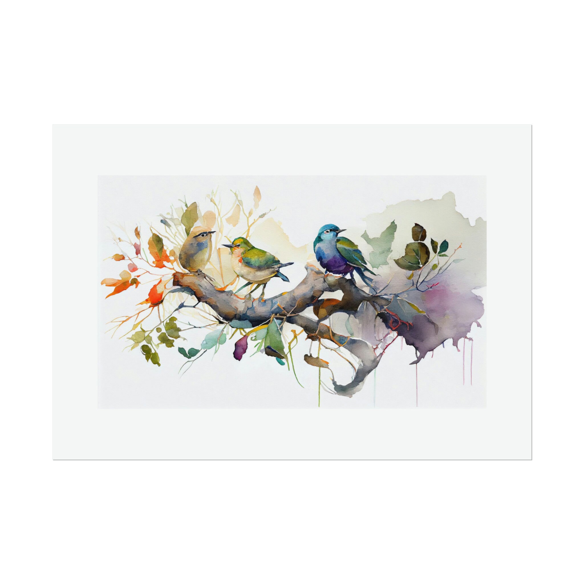 Song Birds 13 Watercolor Print