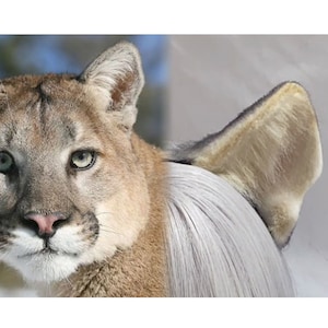 Felpa puma verde e oro online
