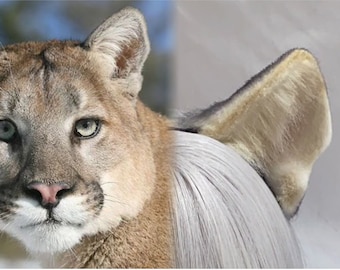 Handmade Cougar Ears Hairband Mountain Lion Headband Hairclips Furry Faux Fur Cosplay Lion Ears Costume Halloween Party Wild Animal Fursuit