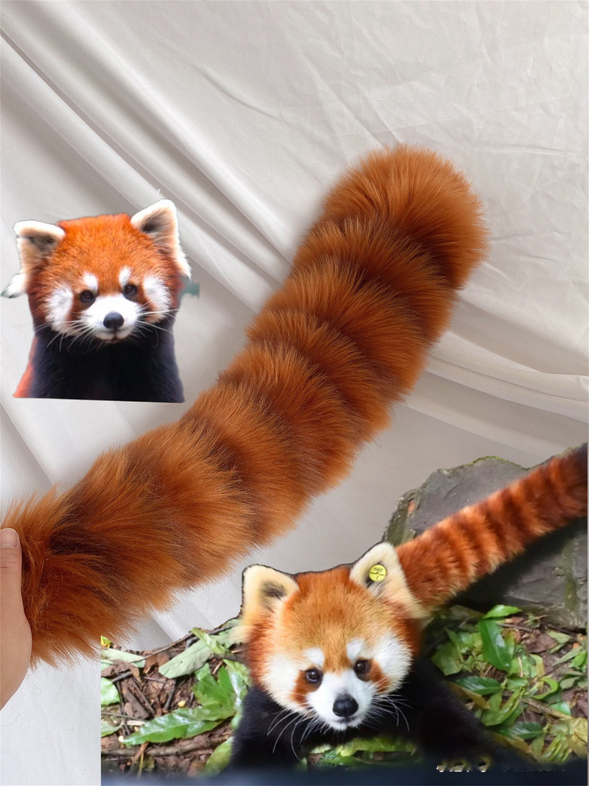 Red panda cheap baby costume