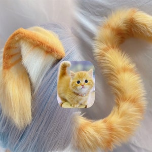 Orange cat top halloween costume