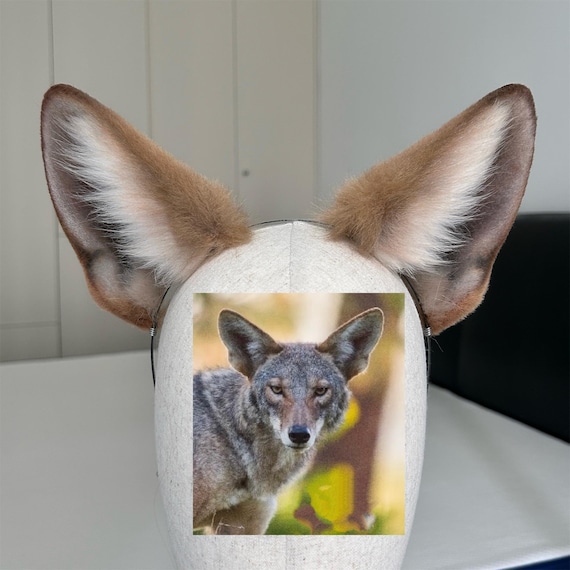 Handmade Coyote Ears Headband, Furry Wild Animal Ears  display picture 1