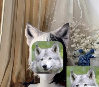 WILLBOND Set Di Costumi Animali Fascia Per Orecchie Set Di Vestire Animali Coda Costume In Maschera Accessorio Per Decorazioni Per Feste (Topo