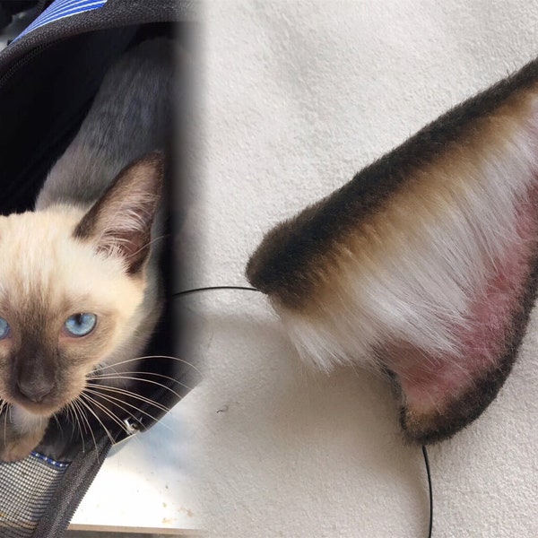 Siamese Cat Halloween Costume Etsy