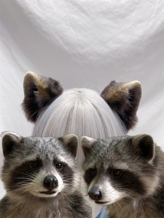 Raccoon ears deals