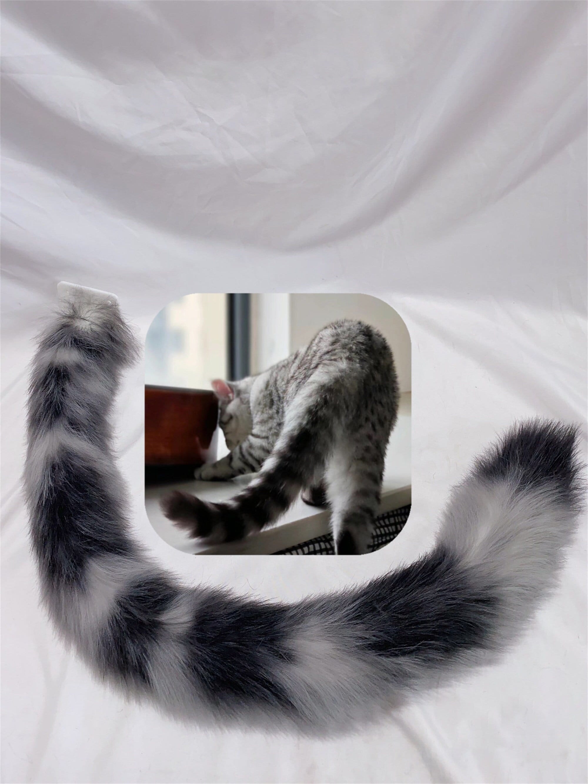 Where to Get A Tail Therian Cat
