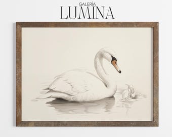 Dibujo minimalista vintage de cisne blanco (impresión digital + marco para TV) 033