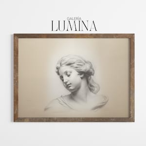 Dibujo a lápiz de la antigua cabeza de Venus (impresión digital + marco para TV) 045