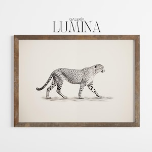 チーター鉛筆画 - 野生動物の肖像画アートプリント（デジタル