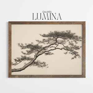 Japanese Black Pine Tree Ink Drawing (Digital Printable Art + Frame TV Art) 048