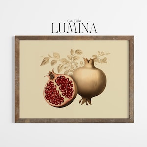 Vintage Pomegranate Illustration Botanical Fruit Print Rustic Pomegranate Wall Art Antique Botanical Digital Printable Art Frame TV Art 1321