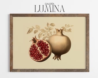 Vintage Pomegranate Illustration Botanical Fruit Print Rustic Pomegranate Wall Art Antique Botanical Digital Printable Art Frame TV Art 1321
