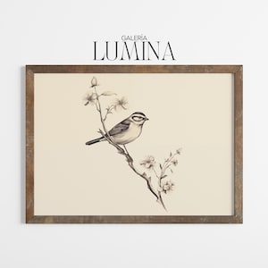 Vintage Sparrow Bird on Blossom Branch Drawing Botanical Bird Illustration Rustic Nature Bird Sketch Digital Printable Art Frame TV Art 1121