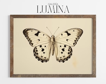 Vintage fjärilsteckning svartvit insektsillustration minimalistisk natur entomologi konsttryck digitalt utskrivbart konsttryck ram TV-konst 1099