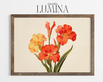 1972 Red Canna Lily Botanical Art. Vintage Canna Botanical Print